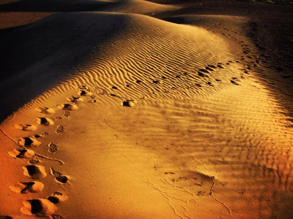 Footprints in the Gobi Desert by James Handlon